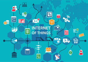 个人网店告别“裸奔”时代 上海颁发首批个人网店营业执照，助推电商规范化发展