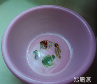 创新设计，源头直供 探索2元新款塑料盆在家用与批发市场的无限潜力